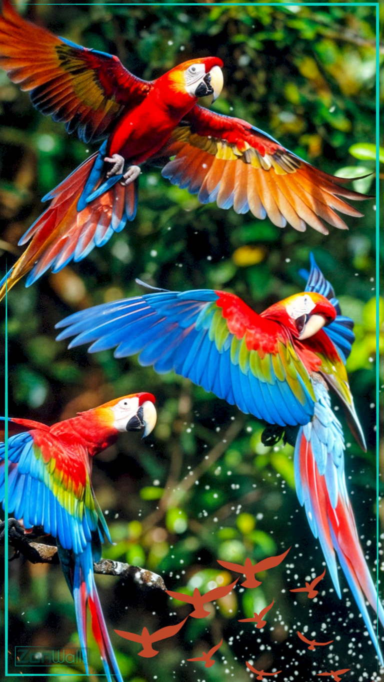 Three Scarlet Macaw parrots flying with wings spread, displaying brilliant red, yellow, and blue feathers against a lush green forest background.