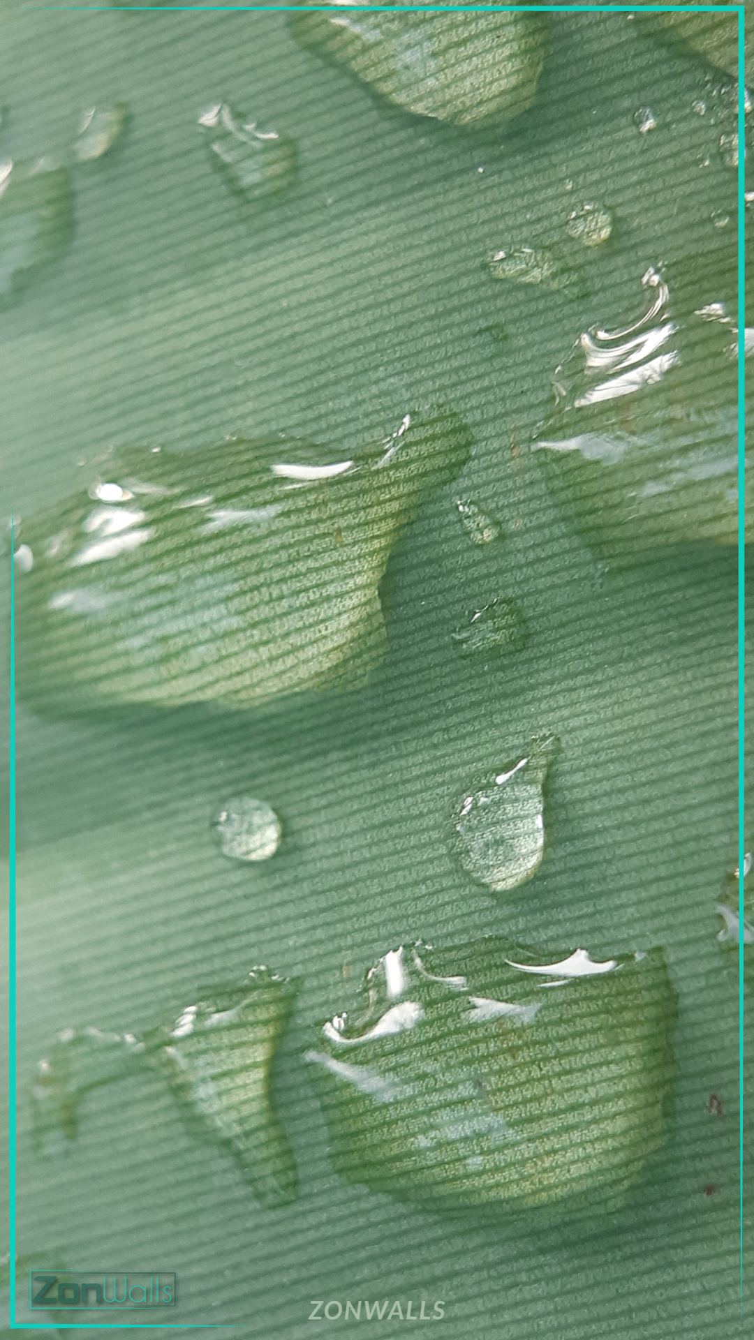 Vertical macro photography wallpaper featuring a close-up of a textured green leaf surface with clear water droplets resting on it.
