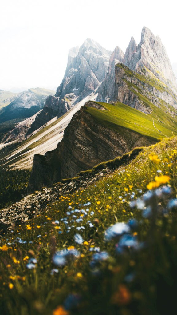 Dramatic jagged mountain peaks overlooking a green grassy slope with blurred yellow and blue wildflowers in the foreground.