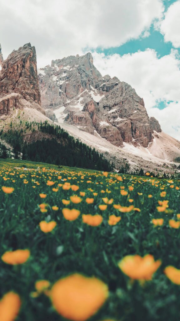 A field of yellow wildflowers in a green meadow with towering jagged mountain peaks under a cloudy sky.