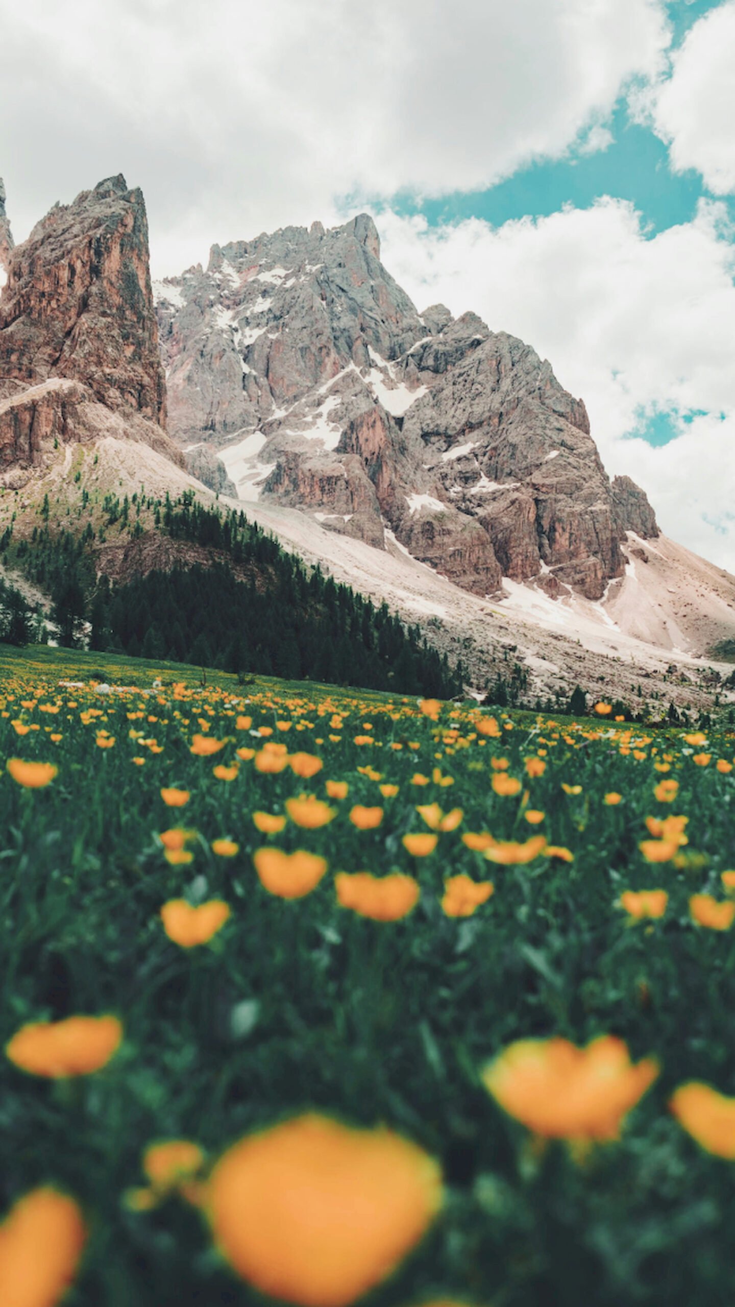 A field of yellow wildflowers in a green meadow with towering jagged mountain peaks under a cloudy sky.