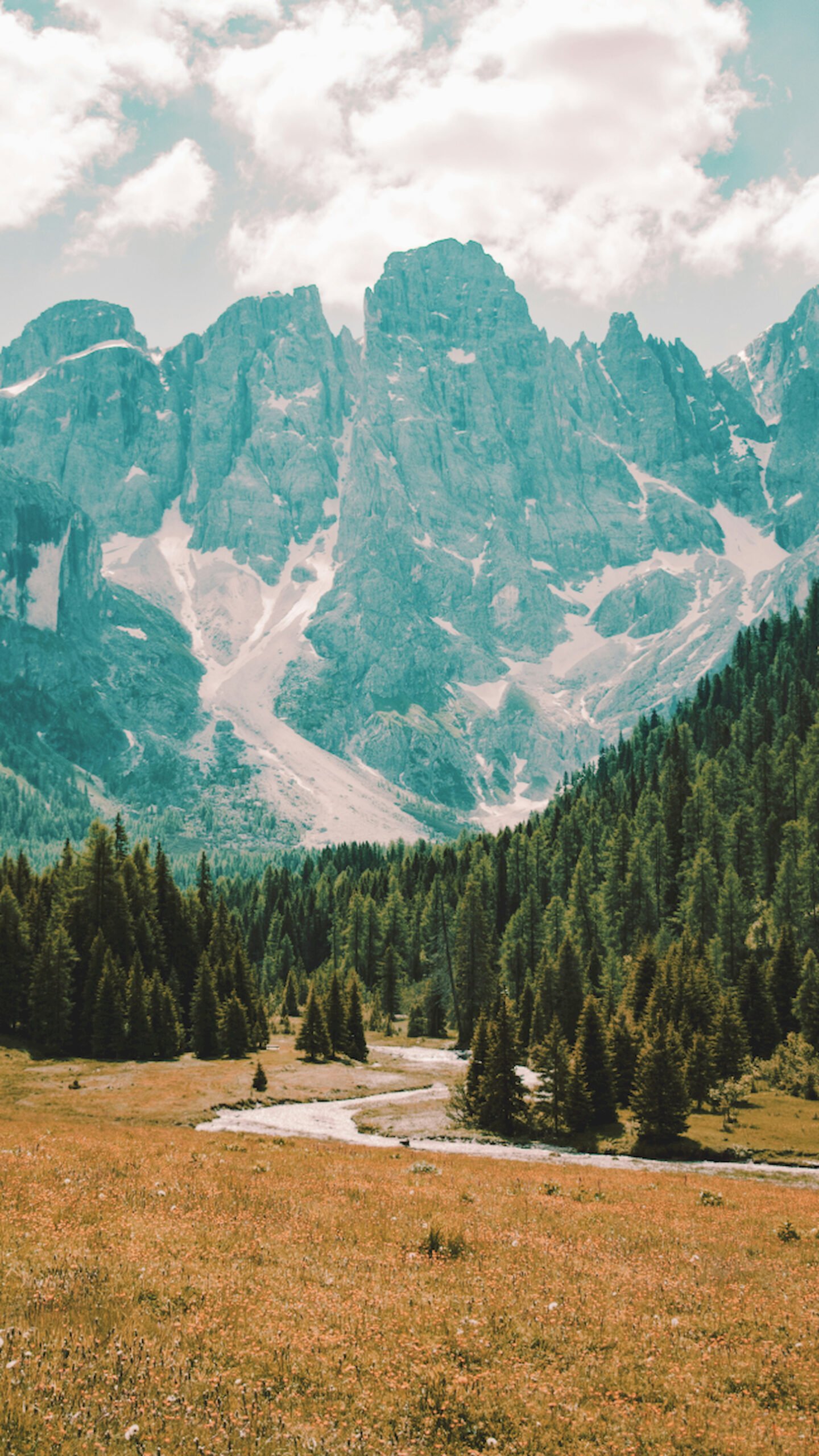 Jagged mountain peaks overlooking a dense pine forest and a grassy meadow with a winding path under a cloudy sky.