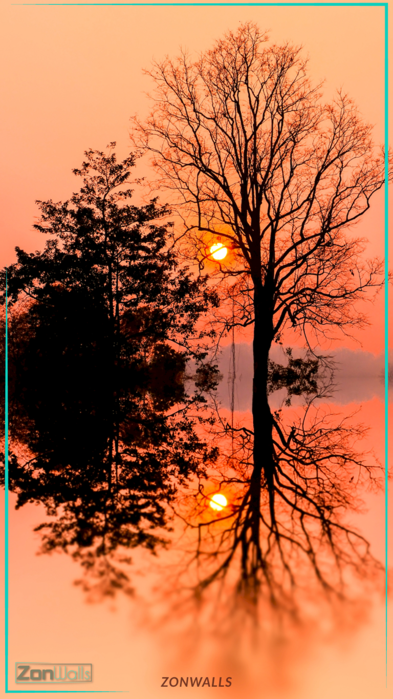 Vertical nature wallpaper featuring black silhouettes of trees against a vibrant orange sunset sky, creating a perfect mirror-like reflection in the calm water below.
