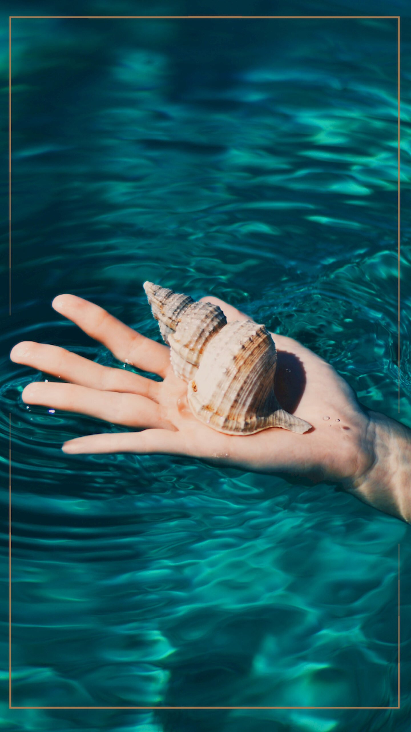 "Hand holding a large spiral seashell over clear blue rippling water, vertical 4K phone wallpaper."